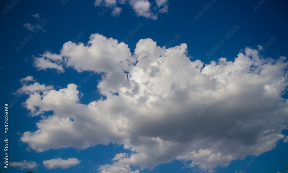 Obraz premium Summer sky with cumulum clouds.