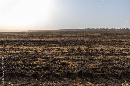 plowed field after harvest in autumn