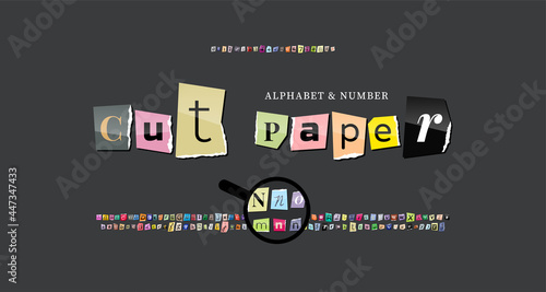 Set of colorful newspaper torn letters, alphabet fonts, letters and numbers torn from a glossy magazine.