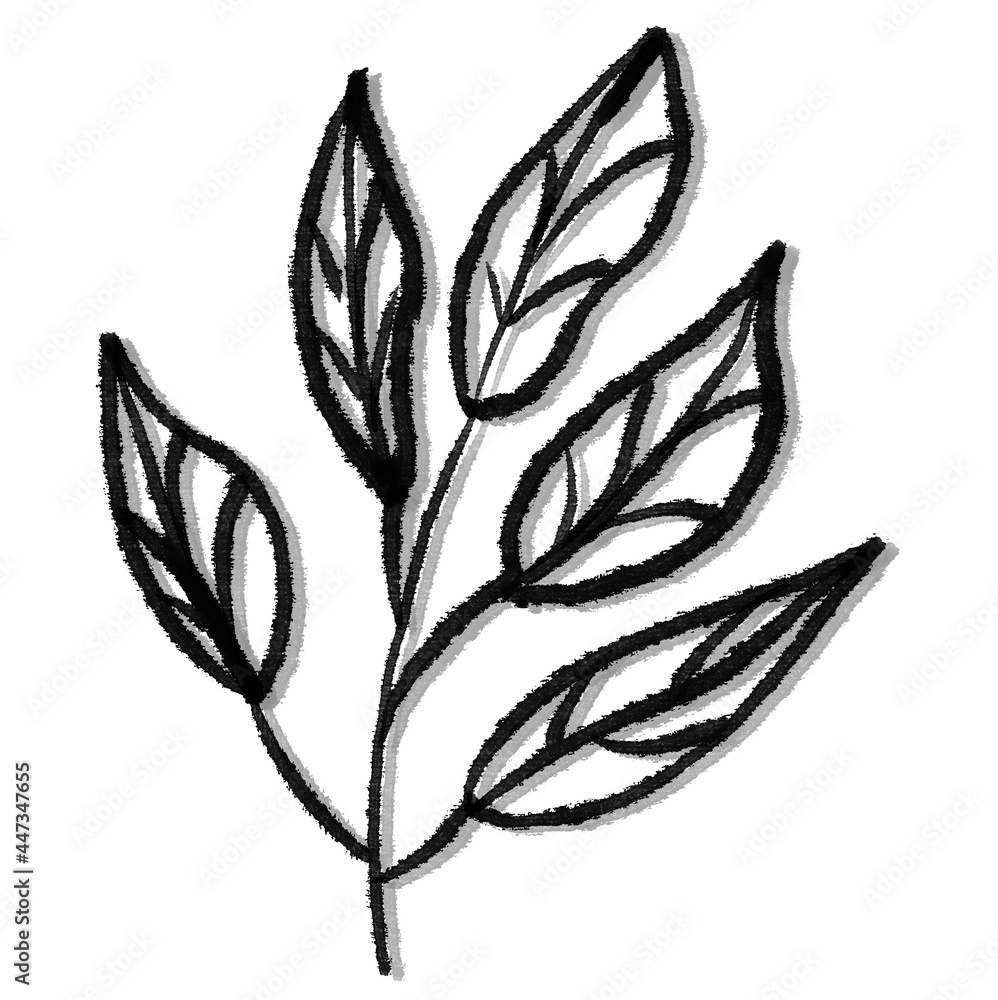 black and white flowers, hand drawn sketch of a plant, delicate twig with leaves and berries in a simple linear style for design tattoos or web black and white flowers, hand drawn sketch of a plant, delicate twig with leaves and berries in a simple linear style for design tattoos or web