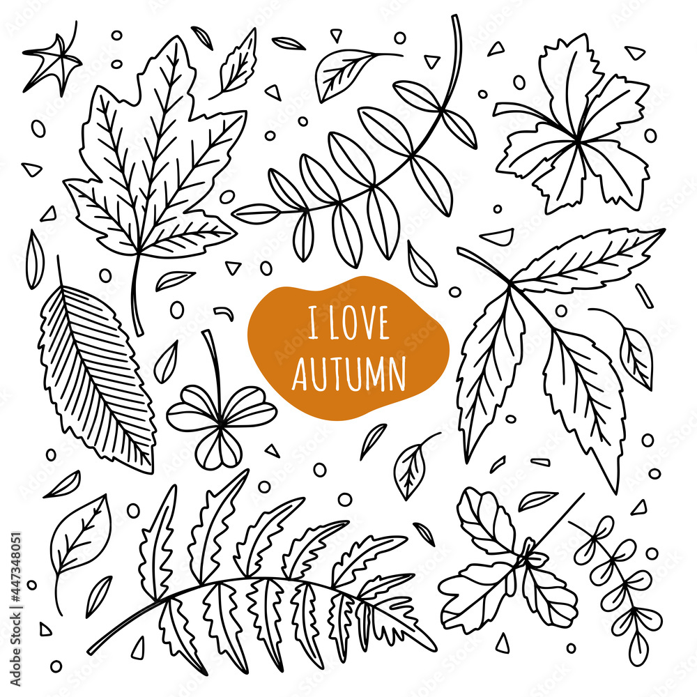 Autumn set of hand drawn leaves of trees, plants, bushes in black ...