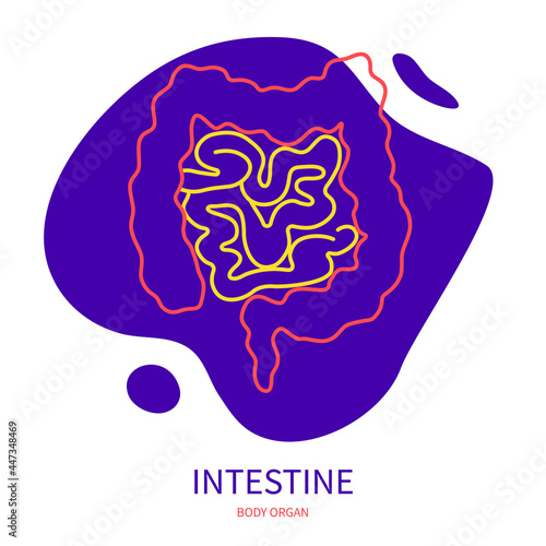 Large and small intestine of human digestive system. Body organ outline icon on abstract geometric splash. Human anatomy medical symbol. Vector illustration.