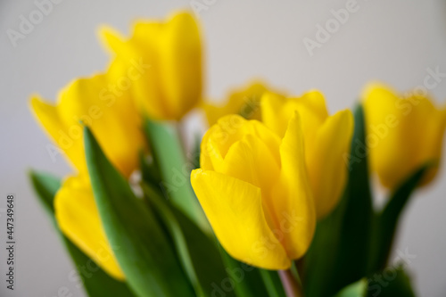 Yellow tulips in a vase. Happy easter 