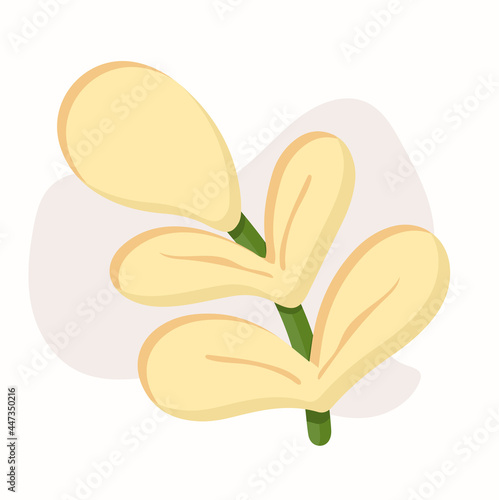 leaf pair with unique style. vector illustration