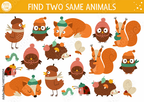 Find two same animals. Thanksgiving matching activity for children. Funny autumn educational quiz worksheet for kids for attention skills. Simple fall printable game with cute characters.
