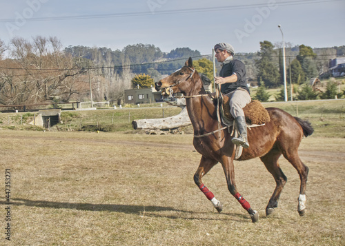 jinete a caballo © Ramiro Ruiz