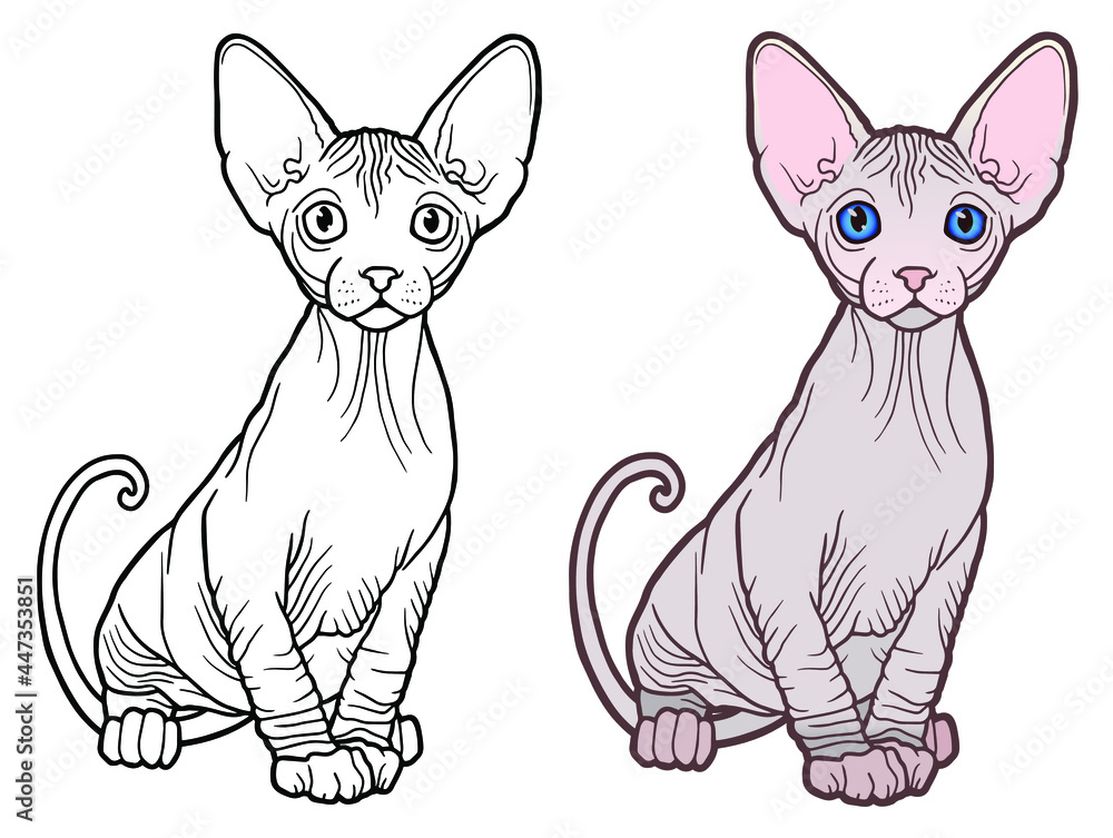 Sphynx cat. Vector illustration. Tattoo style.Pet Shop label, signboard for your business.