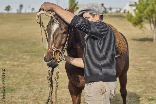 gaucho, colocando riendas al caballo