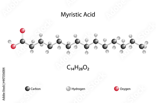Molecular formula of myristic acid. Chemical structure of myristic acid.  photo