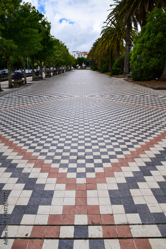 stone path in the garden