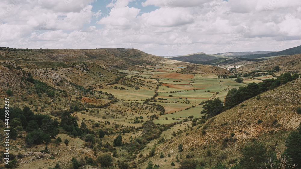 View of the valley in the mountains of the Alto Tajo National Park.
