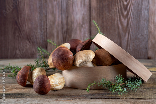 Fotografie, Obraz Fresh boletus mushrooms on a wooden background still life