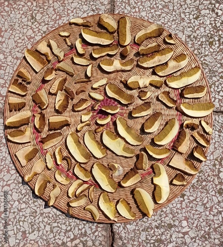 Mushroons for drying photo