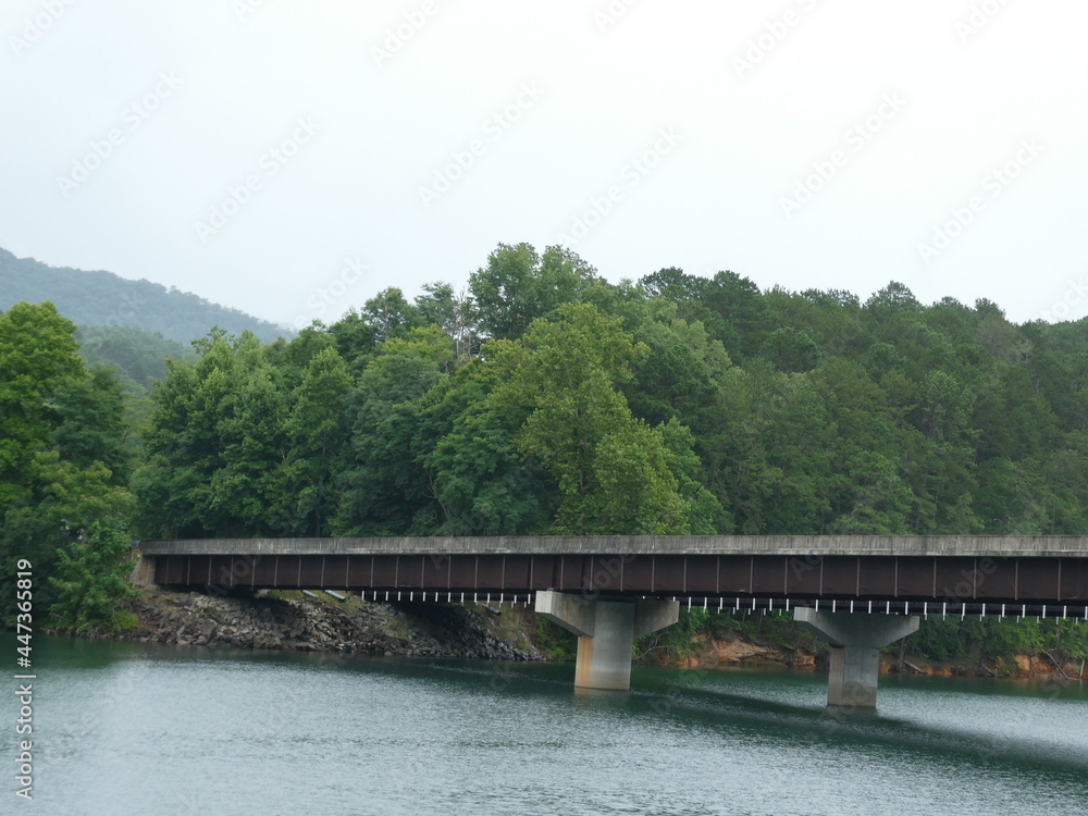 bridge over river in the forest bridge over river in the forest
