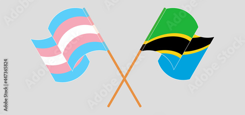 Crossed and waving flags of Transgender Pride and Tanzania