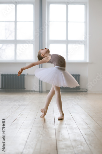 Beautiful little ballerina