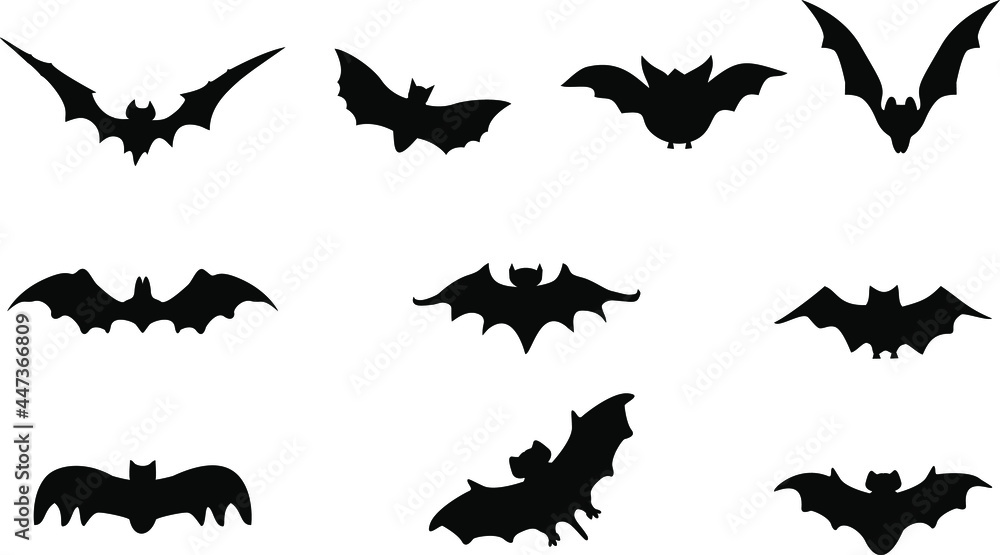 Obraz premium Bat set for Halloween party and more. Vector illustration