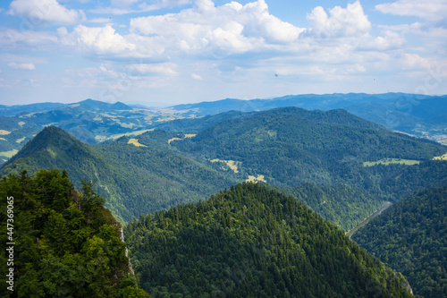 view from the top of mountain  Pieniny  Poland
