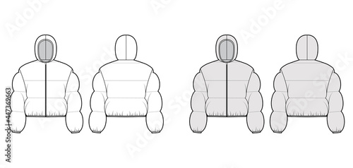 Hooded jacket Down puffer coat technical fashion illustration with long sleeves, zip-up closure, boxy fit, crop length, wide quilting. Flat template front, back, white, grey color. Women, men top CAD