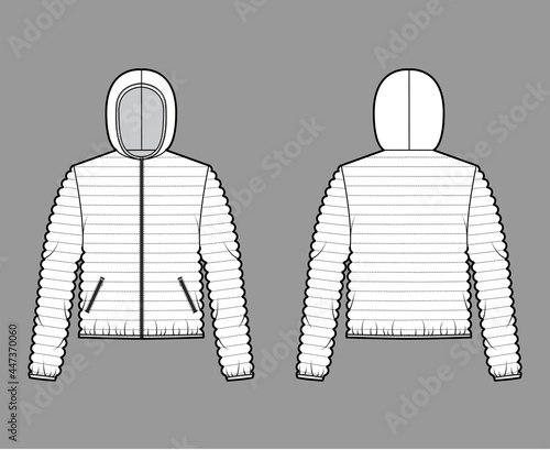 Hooded jacket Down puffer coat technical fashion illustration with long sleeves, zip-up closure, pockets, narrow quilting. Flat template front, back, white color style. Women, unisex top CAD mockup