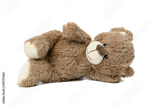 Fotografija cute brown teddy bear lies on white isolated background