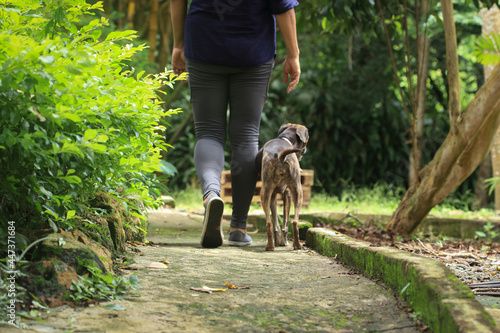 Woman walking on a trail with her pet. Dog and woman outdoors. Walking pet
