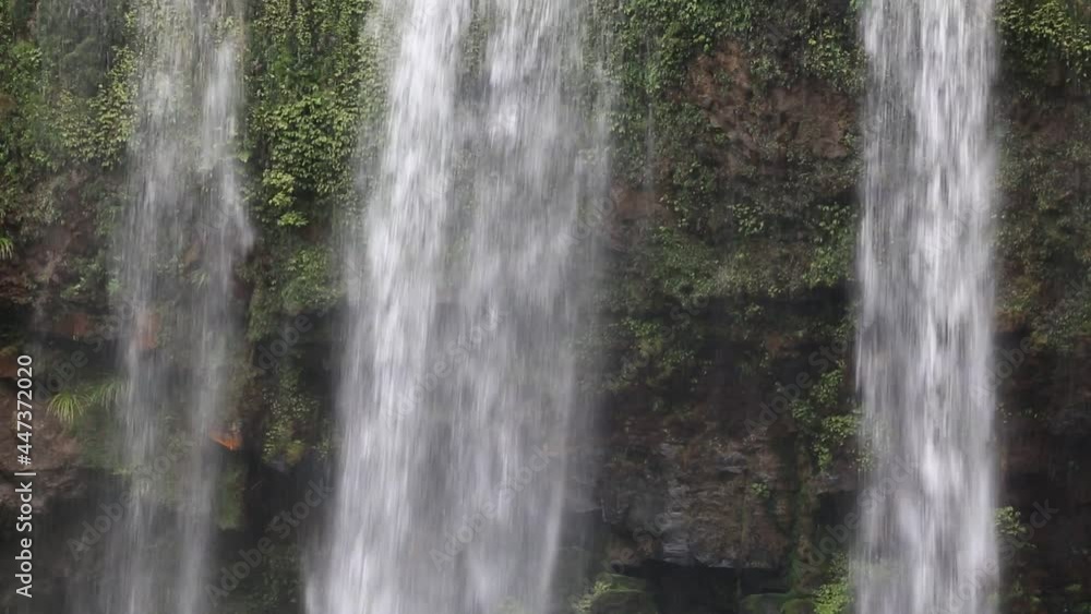 Whangarei Falls close up - New Zealand Whangarei Falls close up - New Zealand