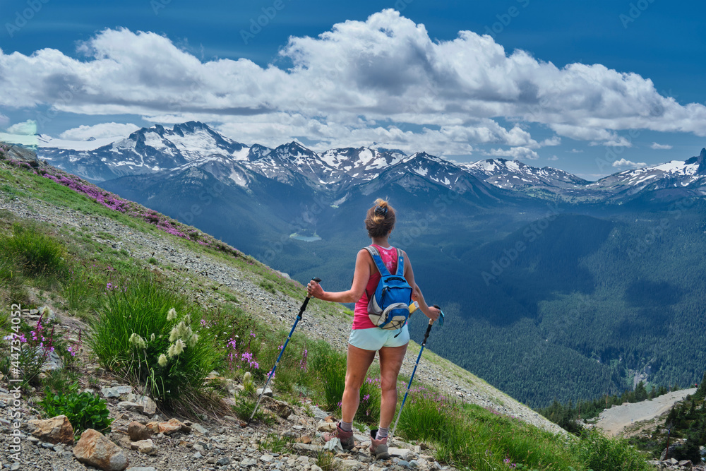 Middle age woman with hiking poles and backpack in mountains among wildflowers. Walking trail from Whistler gondola. Whislter Blackcomb Ski resort. British Columbia. Canada