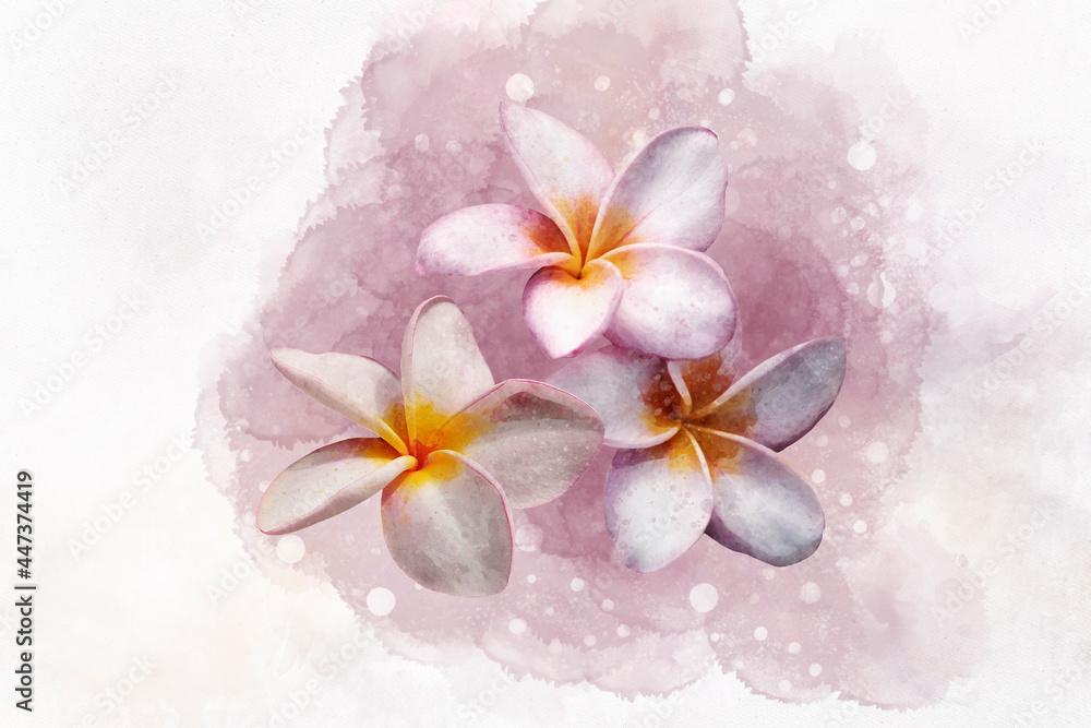 Watercolor tropical set with plumeria. Hand painted tropical flowers isolated on white background. Frangipani. Floral illustration for design, print, fabric or background. - obrazy, fototapety, plakaty 