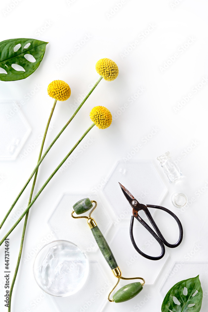 Green jade face roller on ice with and exotic plants. Monstera Adansonii Swiss Cheese leaves, Craspedia ping pong flowers on off white background. Beauty facial with home made moisturizer. Green jade face roller on ice with and exotic plants. Monstera Adansonii Swiss Cheese leaves, Craspedia ping pong flowers on off white background. Beauty facial with home made moisturizer.