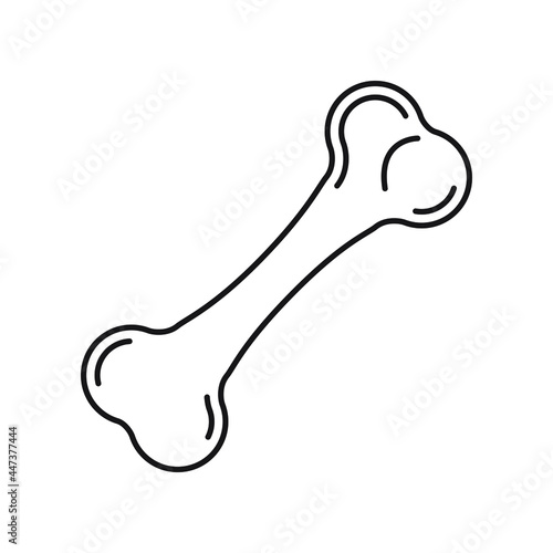 Кость силуэт. Bone outline is black. Vector drawing.