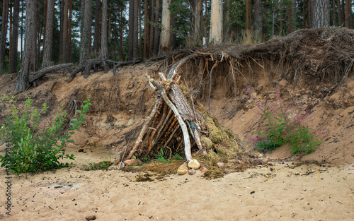 A hut on a forest beach