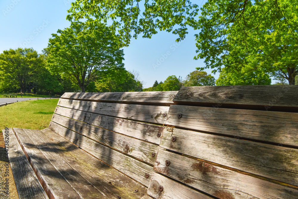 Old wooden bench and fresh green. 木製の古いベンチと新緑。 Old wooden bench and fresh green. 木製の古いベンチと新緑。