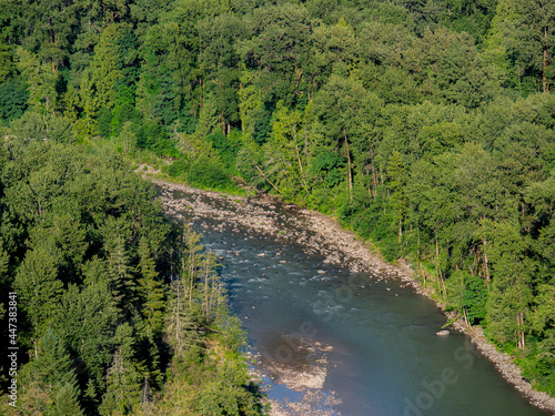 Sandy River and Trees