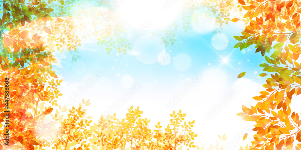 紅葉 もみじ 秋 背景
紅葉 もみじ 秋 背景