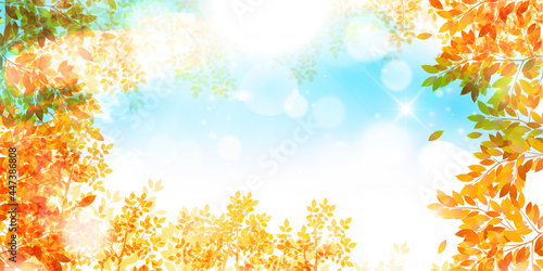 紅葉　もみじ　秋　背景
