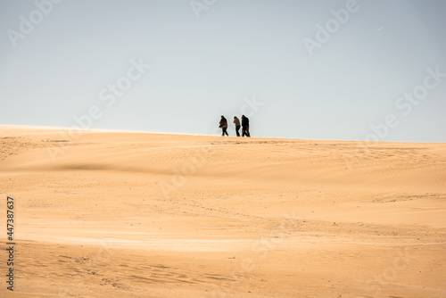Sand dunes in Jockey's Ridge State Park. Located in Nags Head, North Carolina.It is a tallest sand dune system in the eastern United States. © Chansak Joe A.