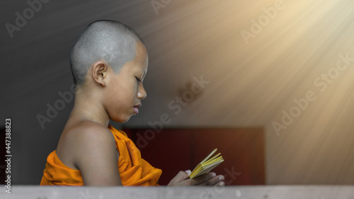 Fotografi portrait of Thai buddhist novice in orange robe standing and reading buddhism lessen scripture by window in temple