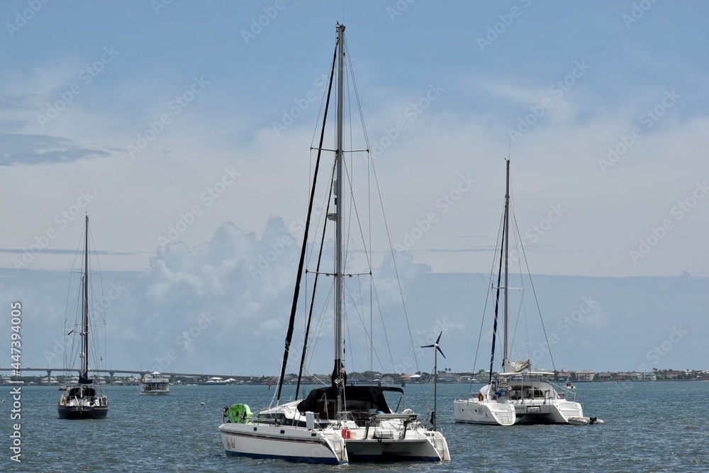 sailboats in the harbor