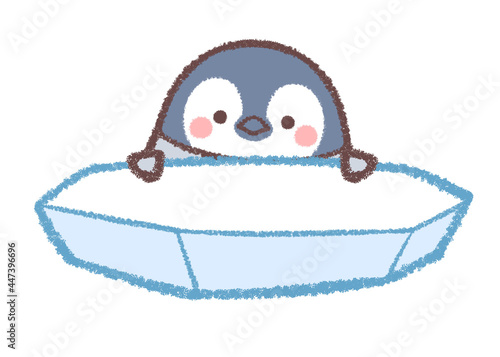 氷とペンギンヒナ