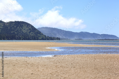 Along the Oregon Coast  Netarts Bay and Shellfish Preserve at low tide on a sunny day.