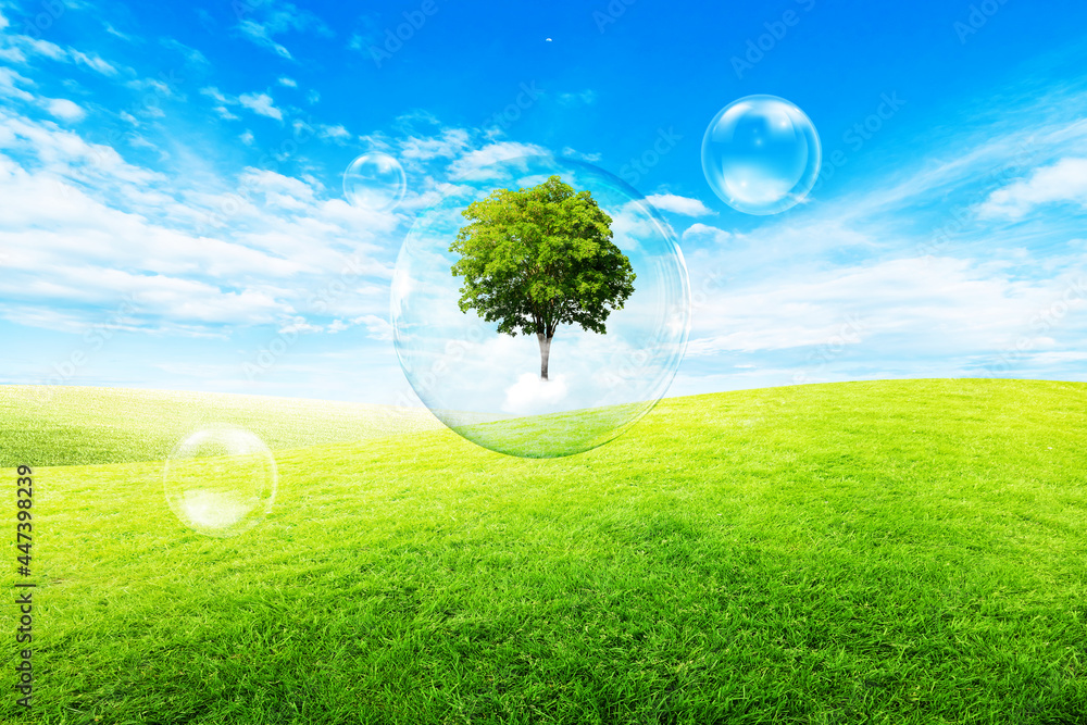 Ecology and Environmental Concept : Green tree in water bubble with blurry green natural background. Ecology and Environmental Concept : Green tree in water bubble with blurry green natural background.