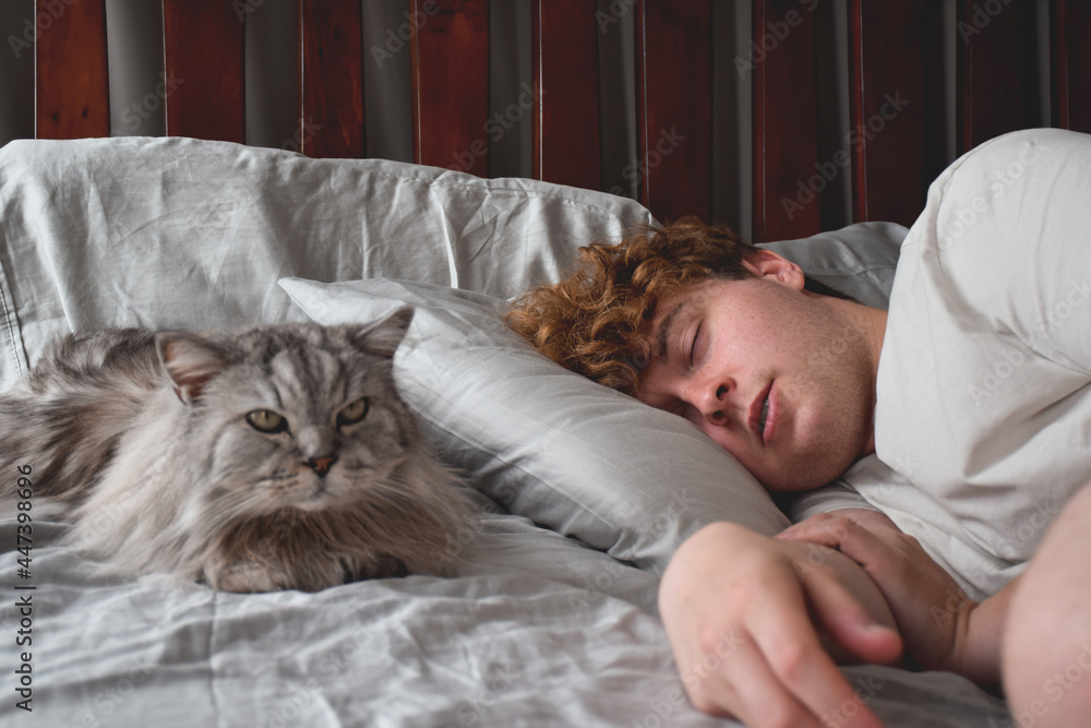 Young man sleeping with cat by his side Young man sleeping with cat by his side