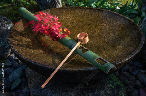 Tsukubai Water Fountain in Japanese Garden in Zuiganzan Enkouji Temple, Kyoto, Japan in autumn. With red maple leaves on the washbasin. photo