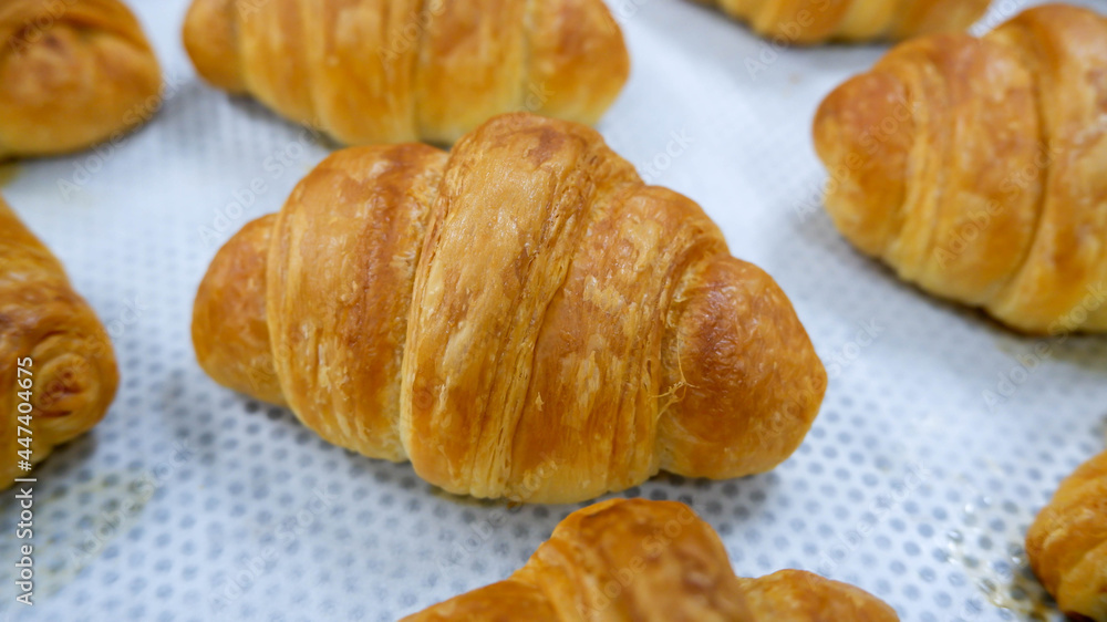 butter croissant pastry food background