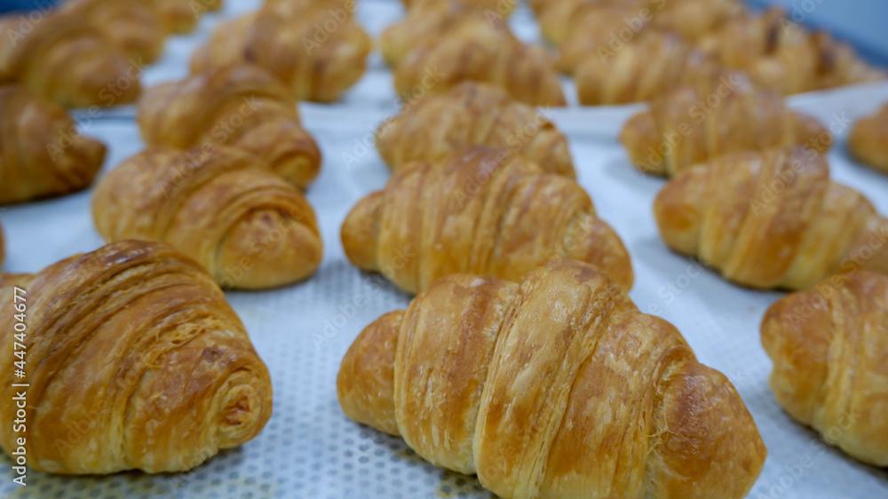  butter croissant pastry food background