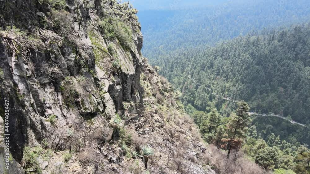Pull front, right of mountain with rocks and forest in a sunny day Pull front, right of mountain with rocks and forest in a sunny day