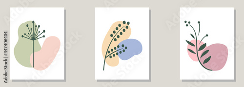 Set of three pastel colour abstract modern posters with blobs of colour and plants