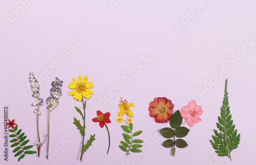 Dried Flowers on Pink Paper For Background