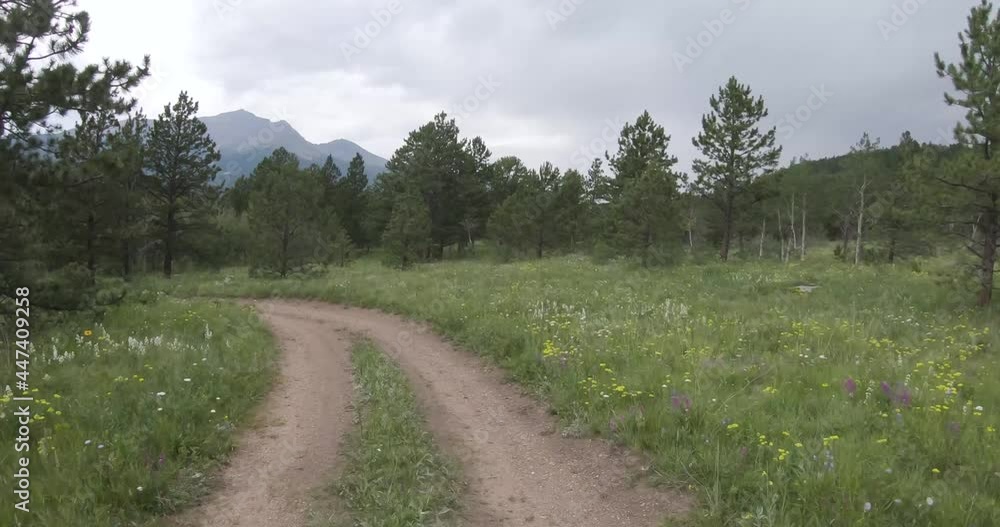Off road in the Roosevelt National Forest Summer flowers mountain tops Off road in the Roosevelt National Forest Summer flowers mountain tops